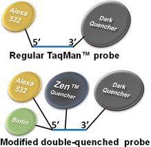 DETECTION OF REPETITIVE OLIGONUCLEOTIDE SEQUENCES