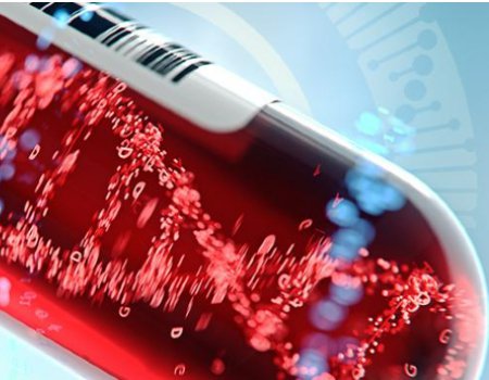 protein- DNA 2