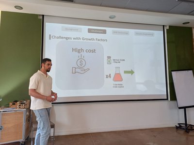 BETD 3